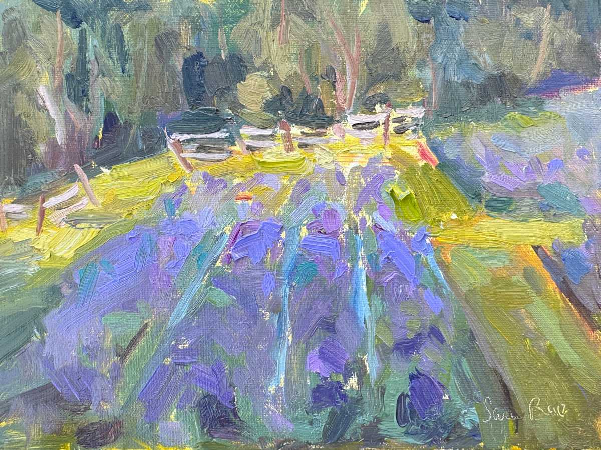 Lavender Fields by Sara Rae 