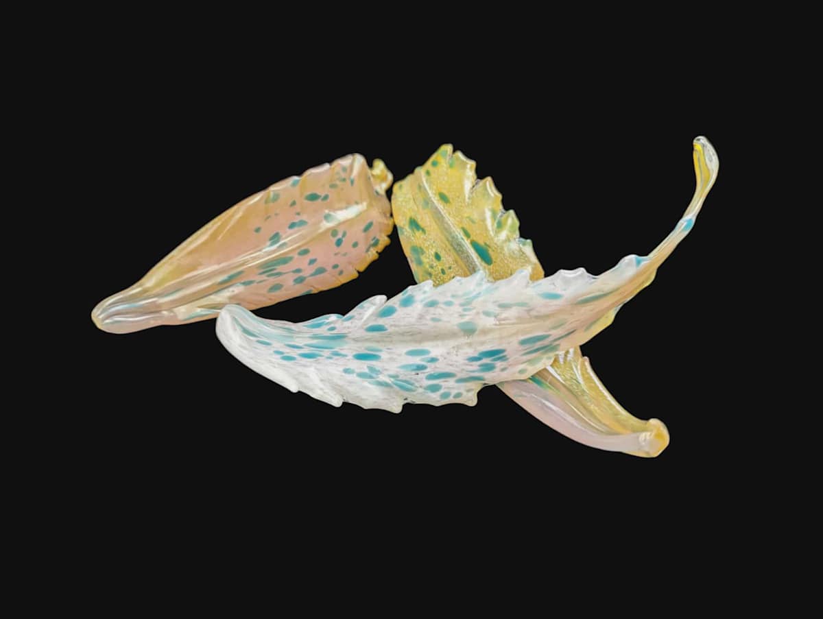 Feathers by Chandler Snidal, Image 1.