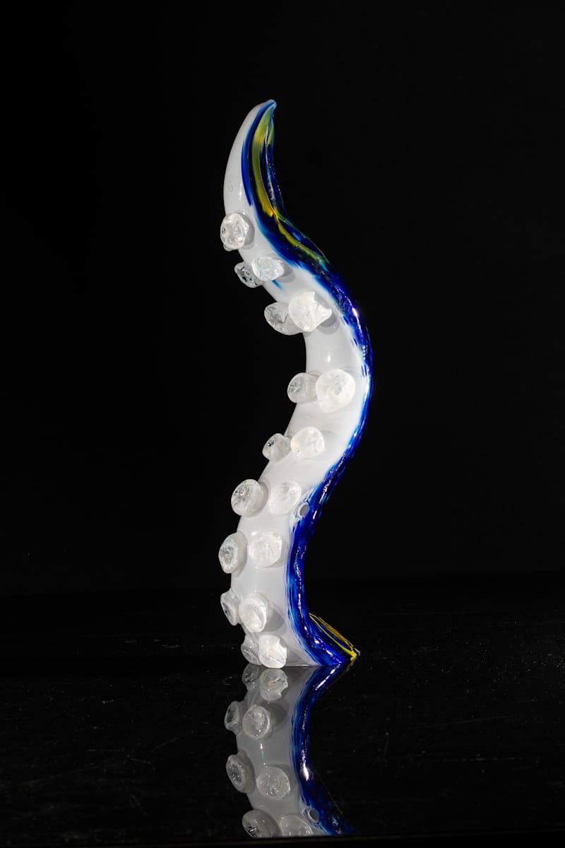 Tentacle 003 by Chandler Snidal, Image 6.