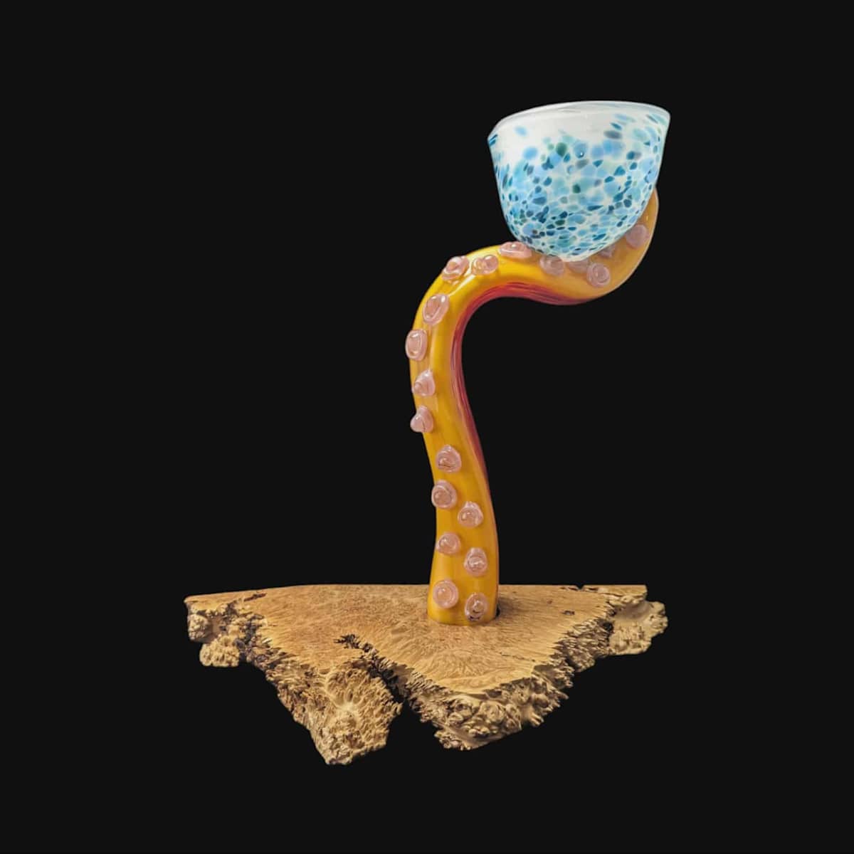 Tentacle 002 by Chandler Snidal, Image 1.