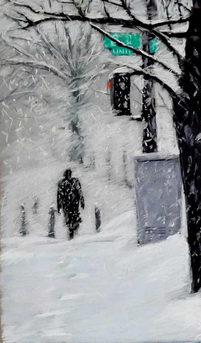 DC Snow Storm by Patrice McPeak 