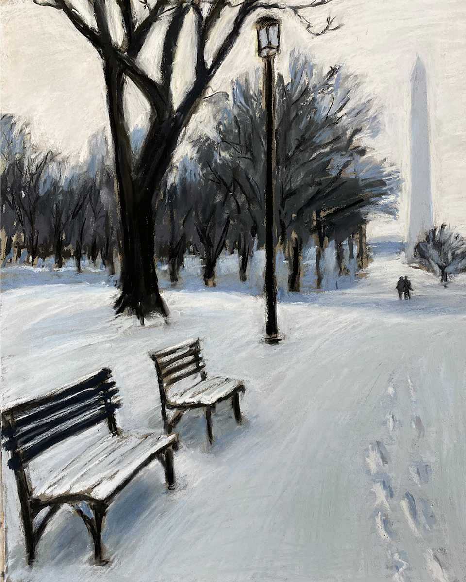 DC Snow Storm 2 by Patrice McPeak 