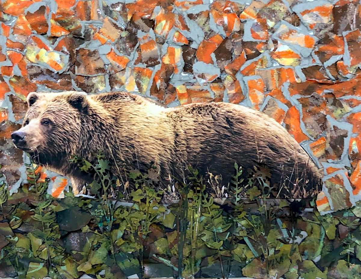 Bear by Shiloh, Image 1.