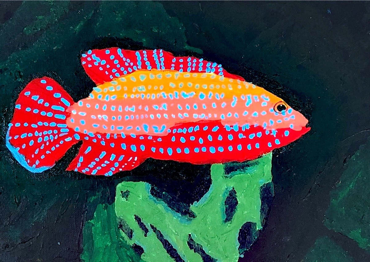 Fish by JoshM, Image 1.