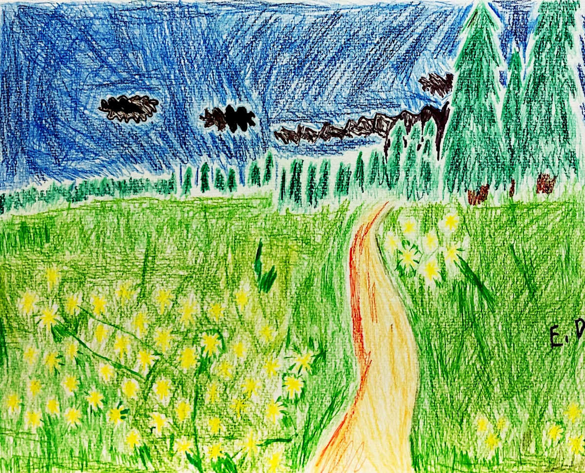 Path Along the Daisey's by Evan, Image 1.