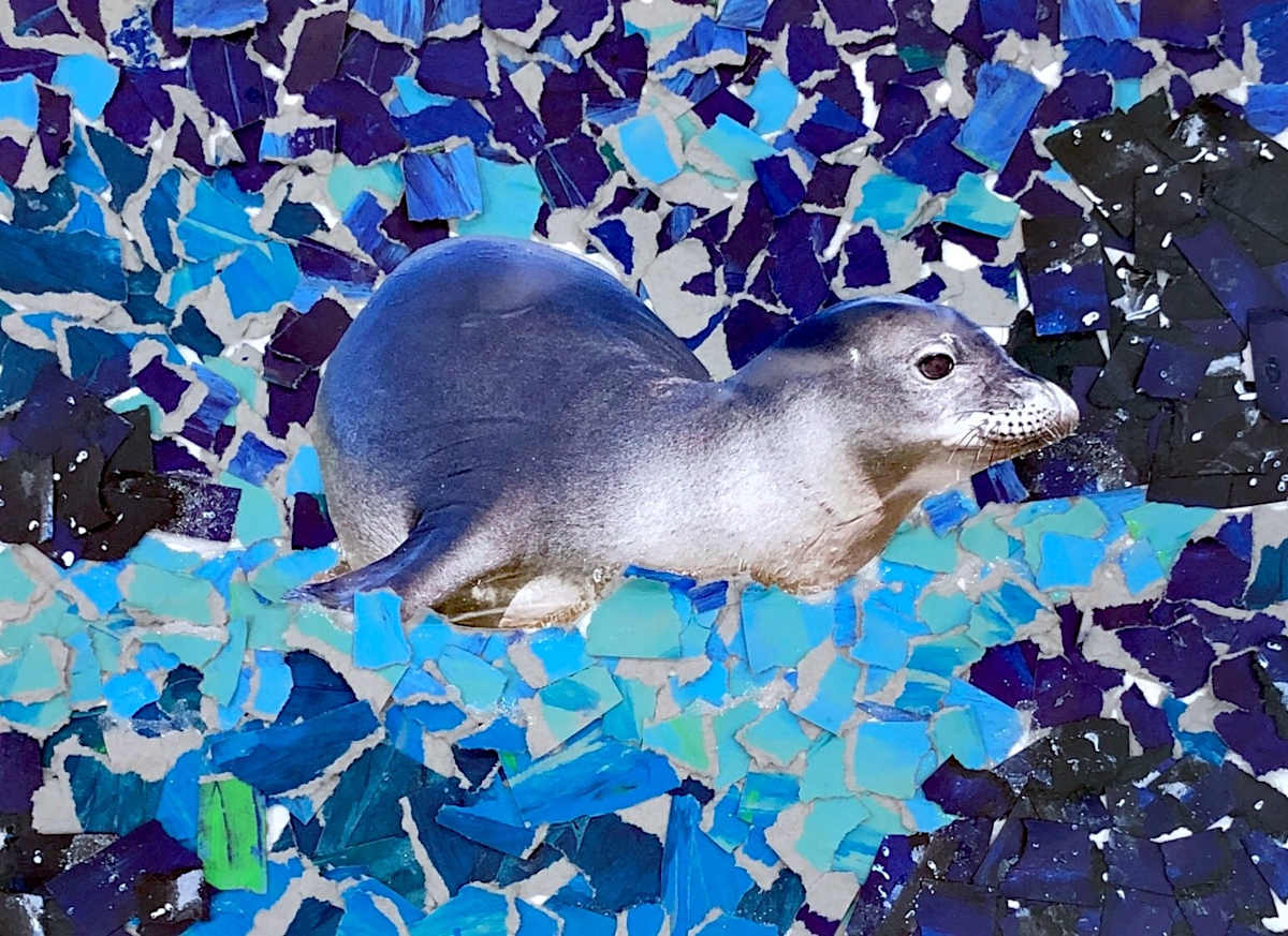 Seal In The Ocean by Shiloh 