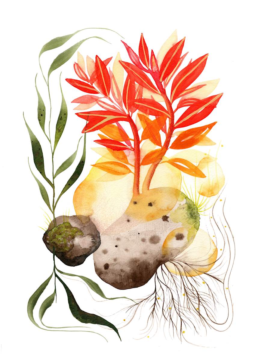 New Growth by Ariel Rodriguez 
