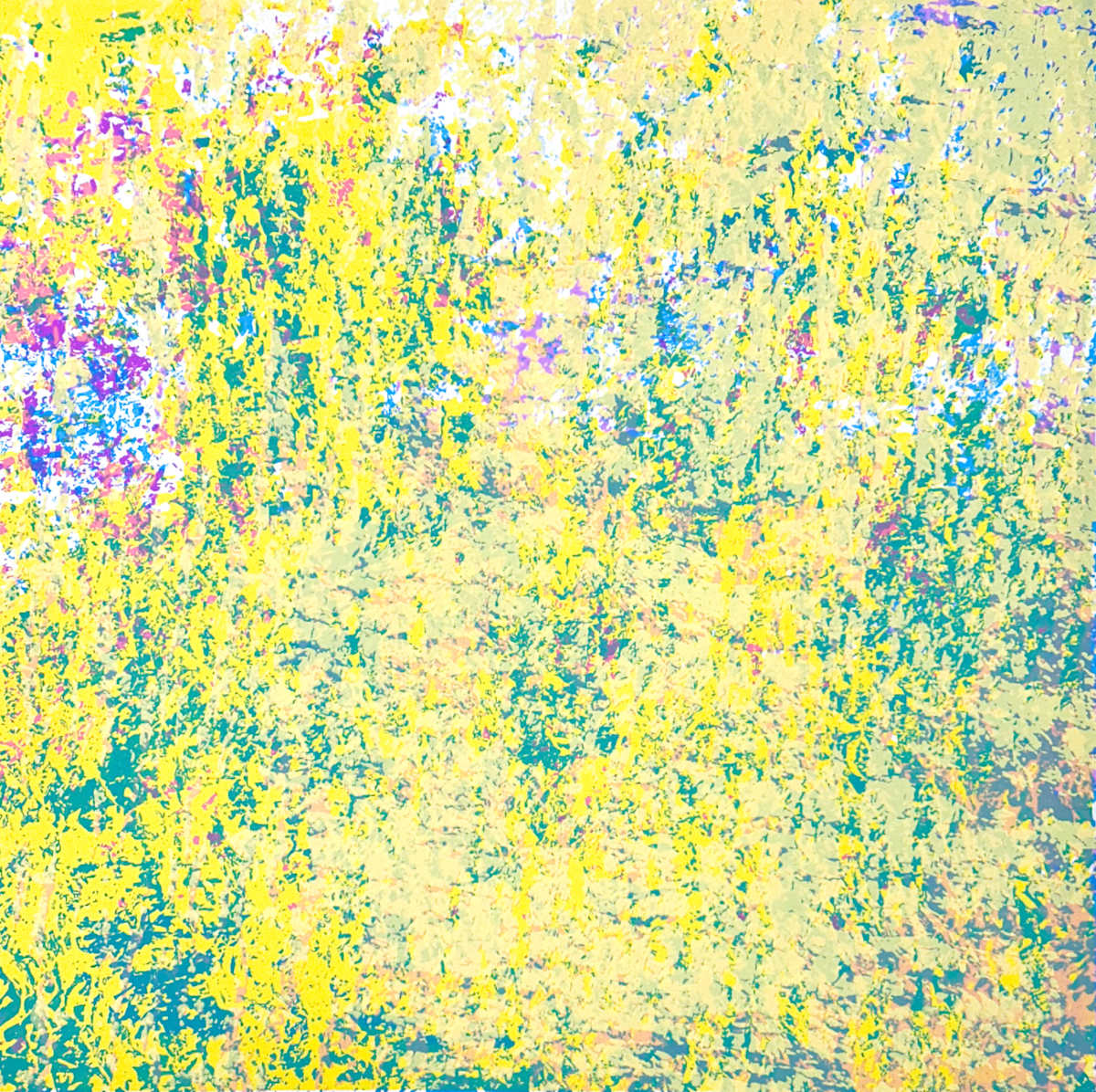 C-1321 by Mark A. O'Neil, Image 1.