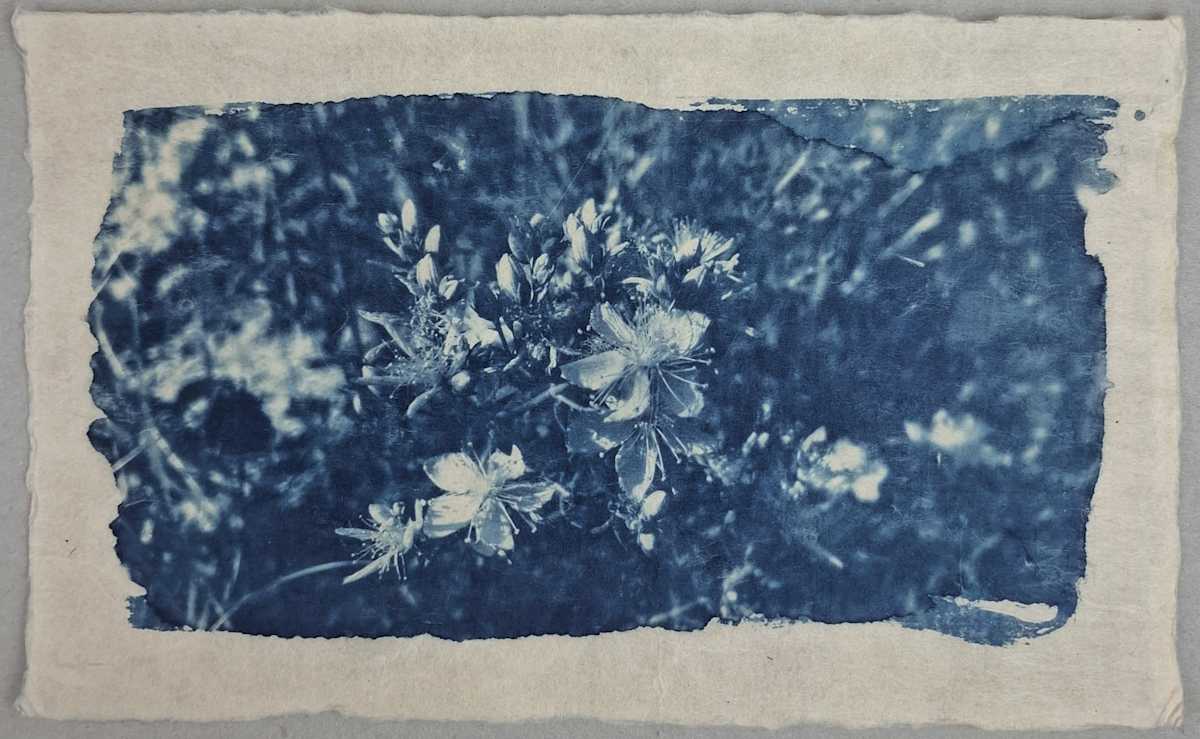 Giorni d'estate by Annalisa Mercuri, Image 2.