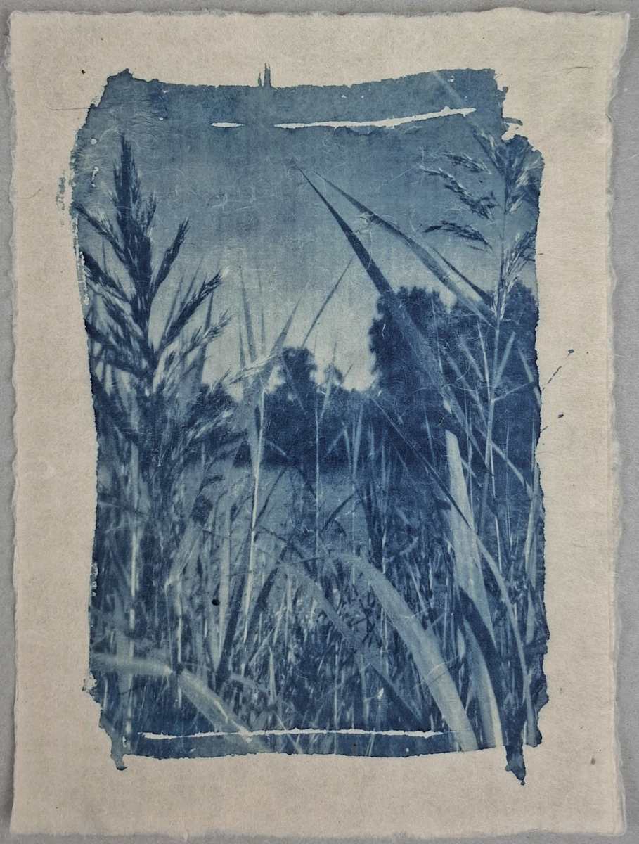 Tra le Rive dell'Adige by Annalisa Mercuri, Image 2.