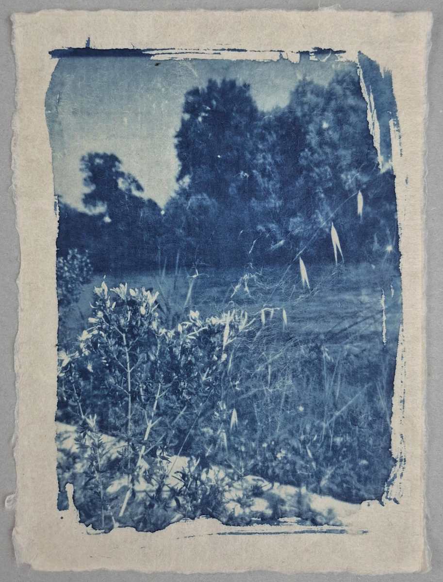 Lungo il Fiume Adige by Annalisa Mercuri, Image 2.