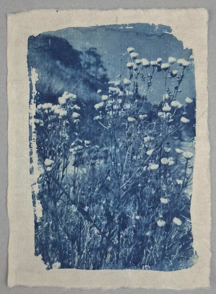 Al Mattino by Annalisa Mercuri, Image 2.
