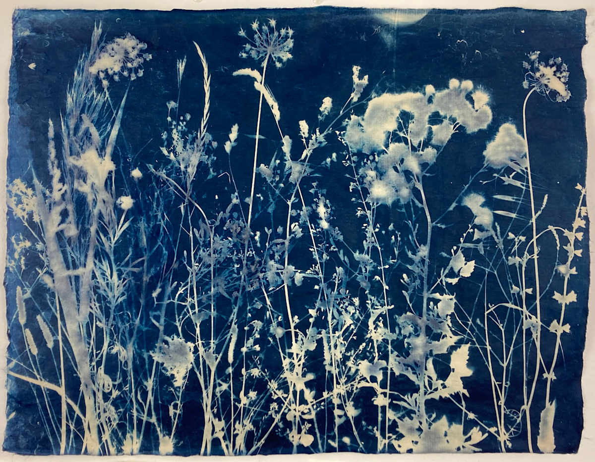 Sulle Rive del Fiume Adige by Annalisa Mercuri, Image 1.