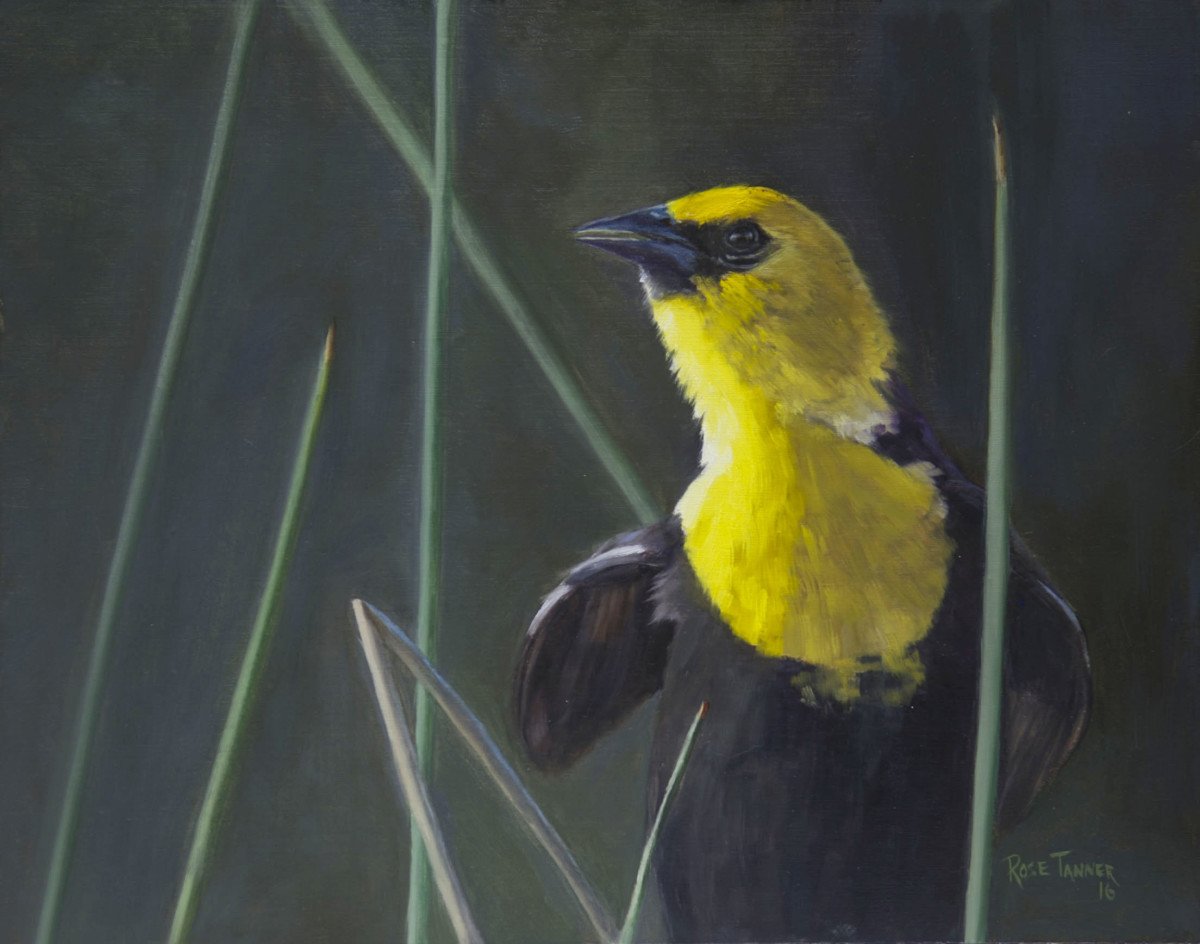 In the Reeds by Rose Tanner 