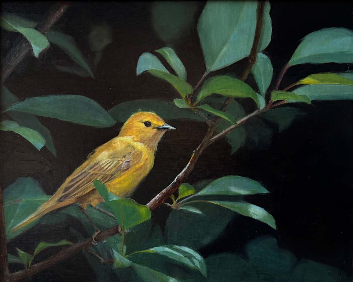 Warbler Break by Rose Tanner, Image 1.