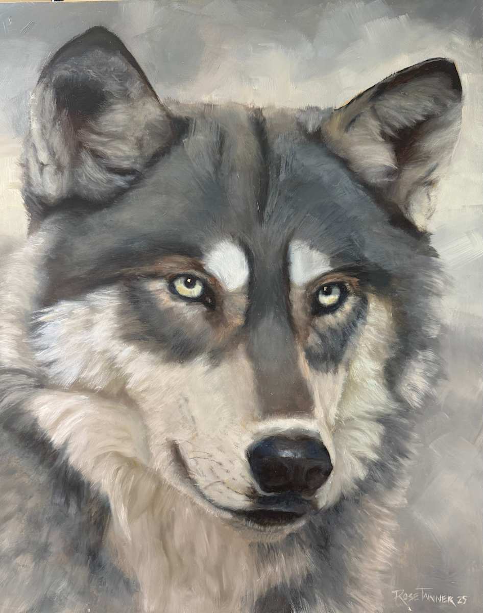 Echo of the Forest by Rose Tanner, Image 1.