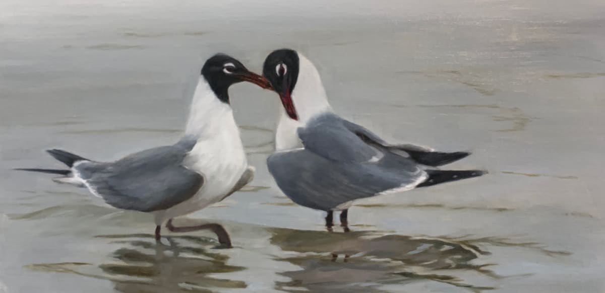 Shy Beginnings by Rose Tanner 