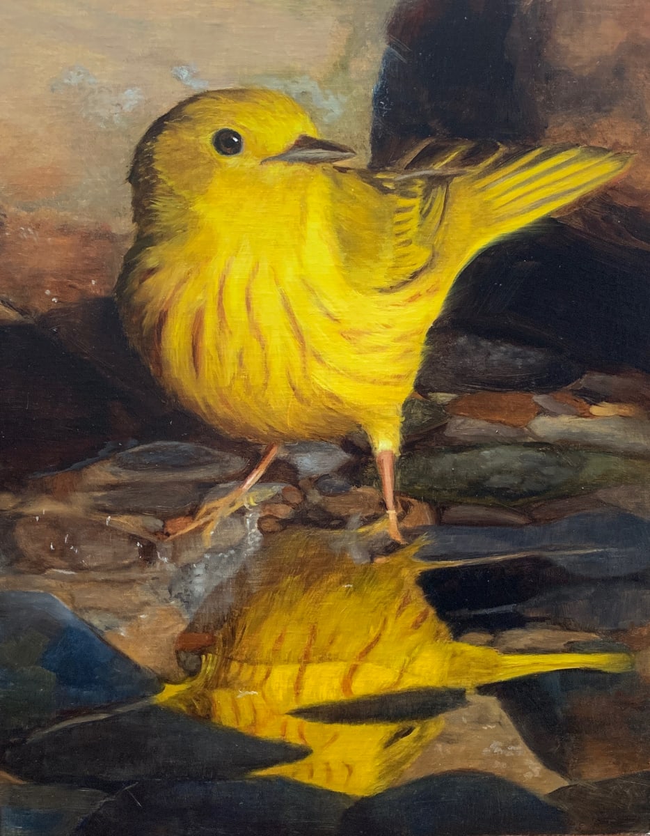 Feathered Sunshine by Rose Tanner 