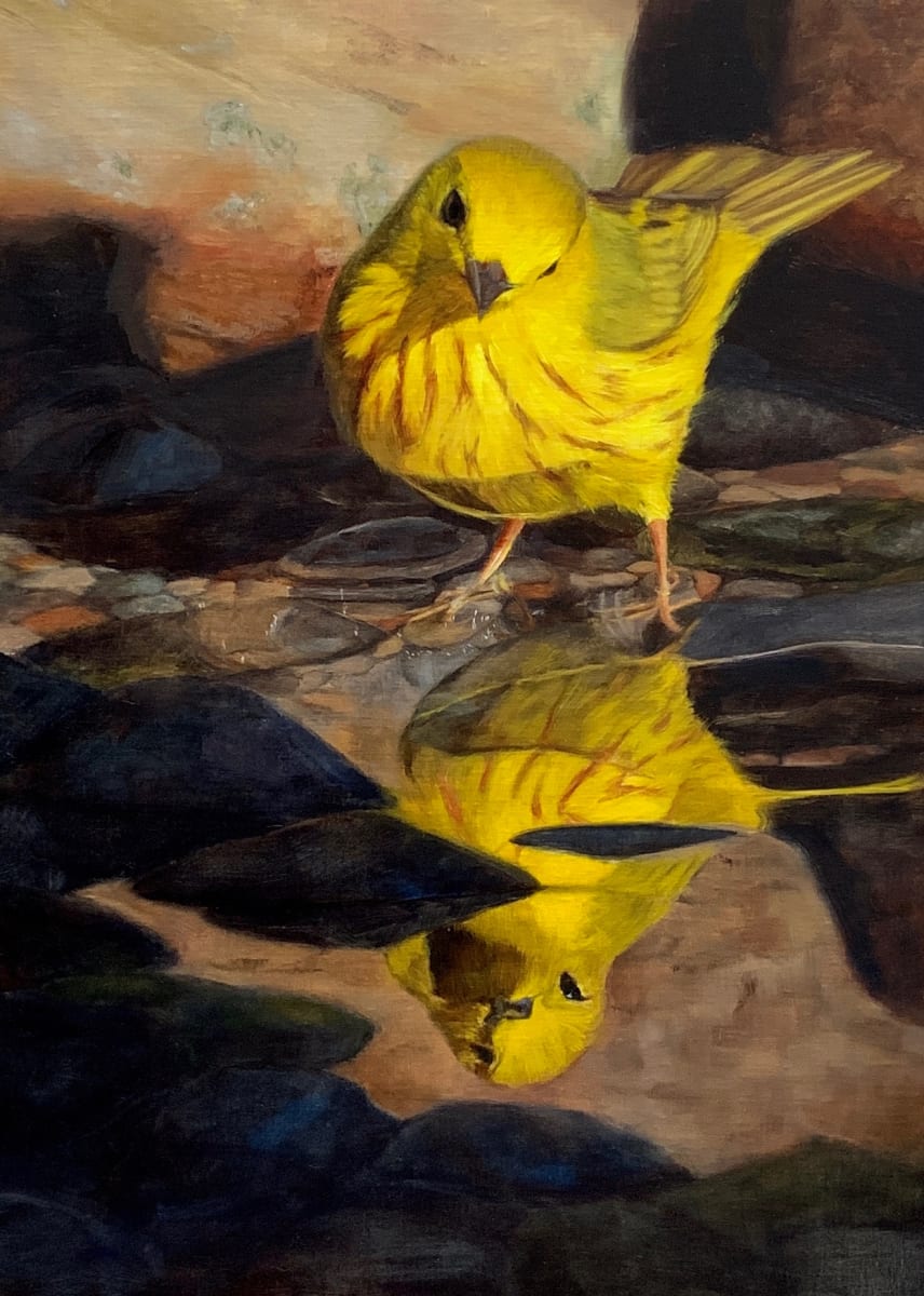 Reflections by Rose Tanner 