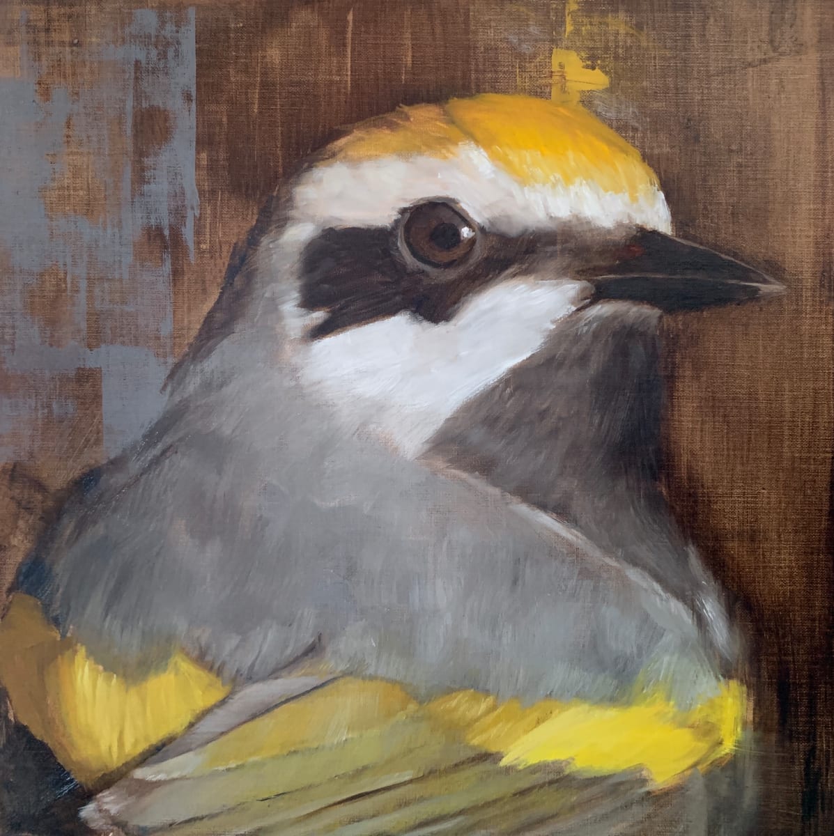 Golden-Winged Warbler by Rose Tanner 
