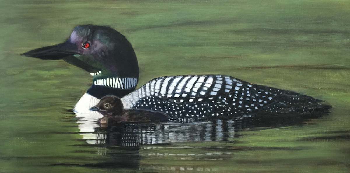 First Day Loons by Rose Tanner, Image 1.