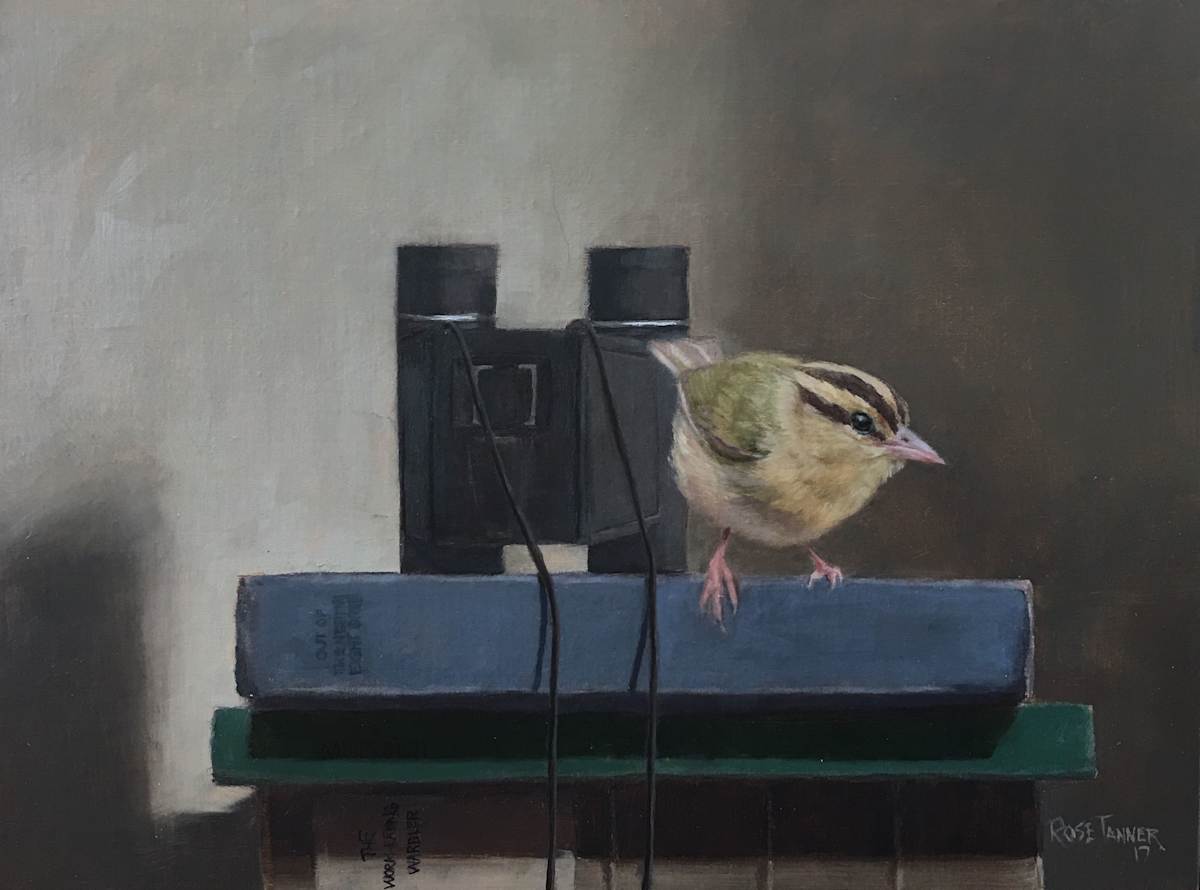 Worm Eating Warbler by Rose Tanner, Image 1.