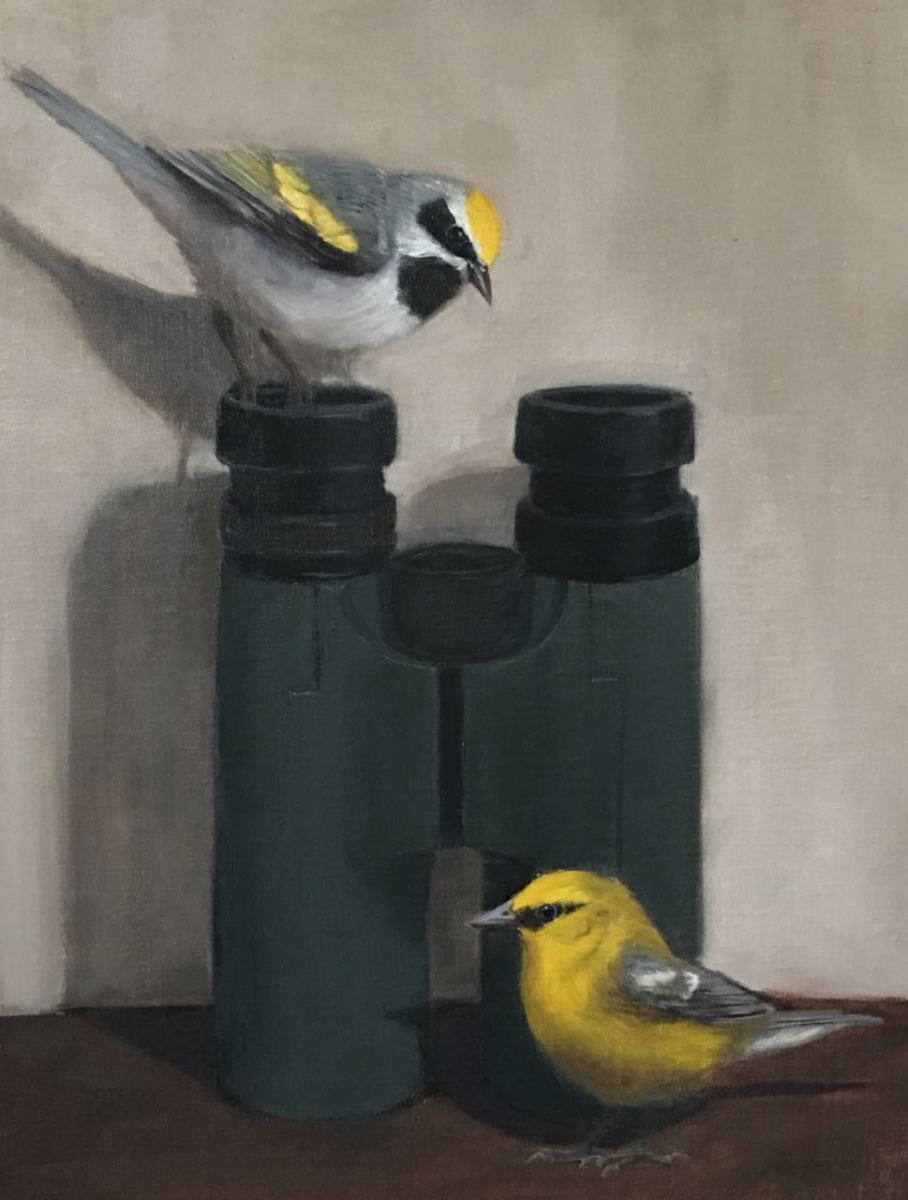 Hybrid Warblers by Rose Tanner 