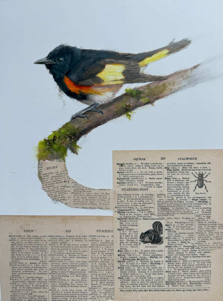 Birds and Words - Start by Rose Tanner 