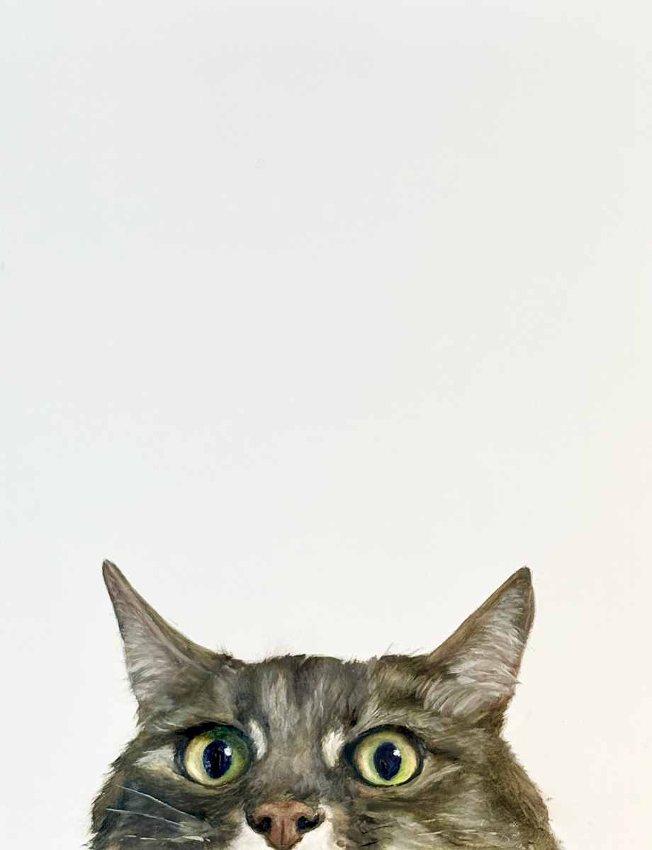 Peek a Boo by Rose Tanner, Image 1.