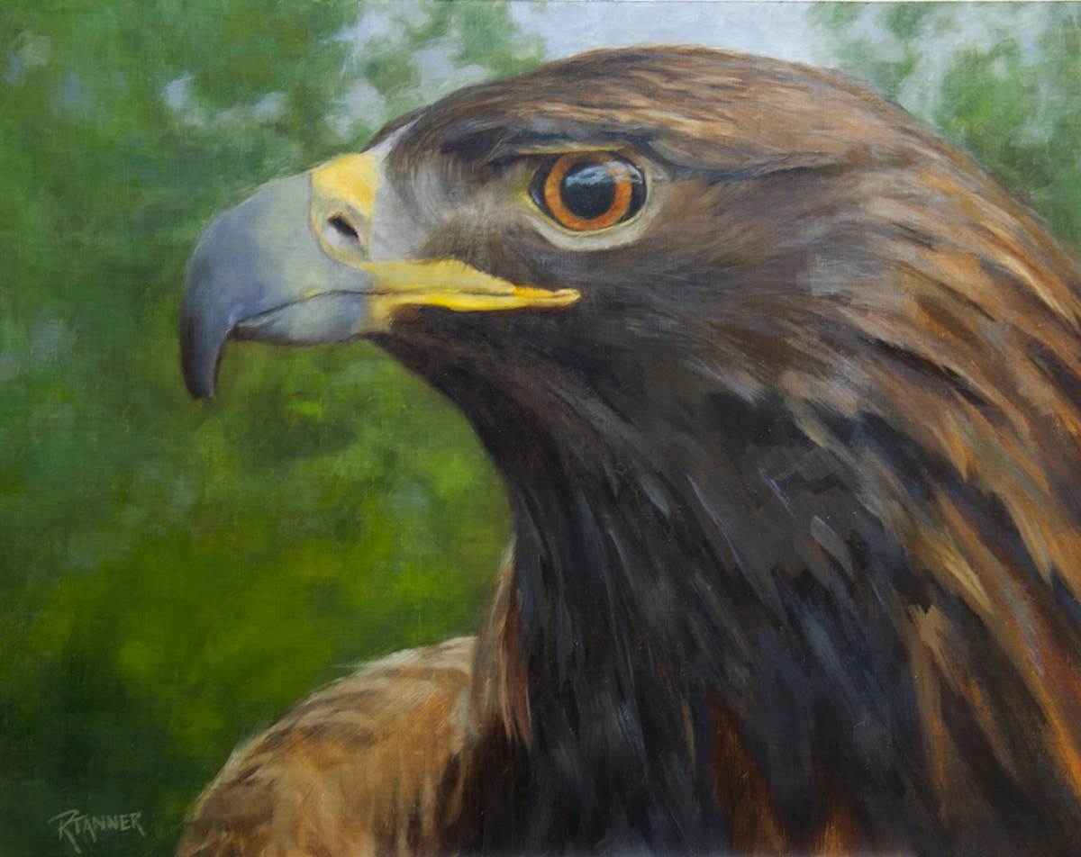 Spirit the Blind Eagle by Rose Tanner, Image 1.