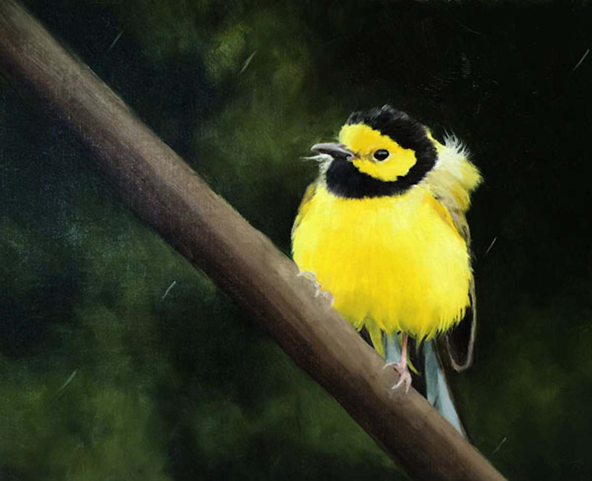 Long Migration by Rose Tanner, Image 1.