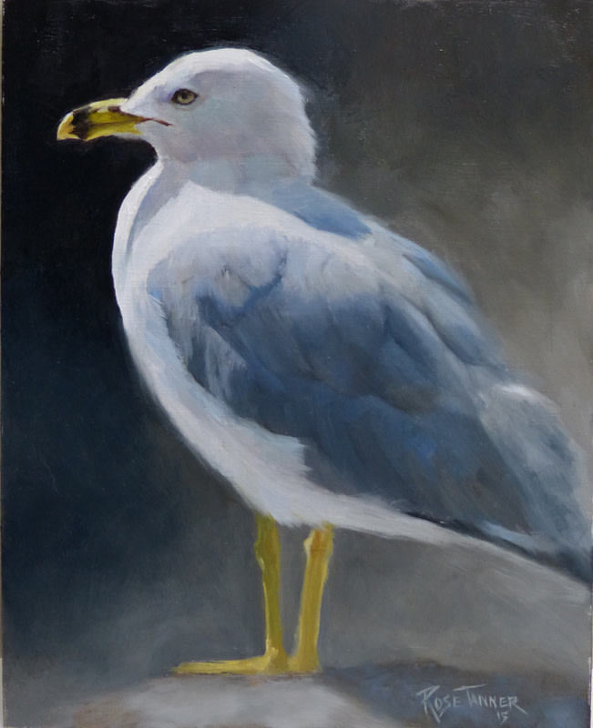 Seagull by Rose Tanner 
