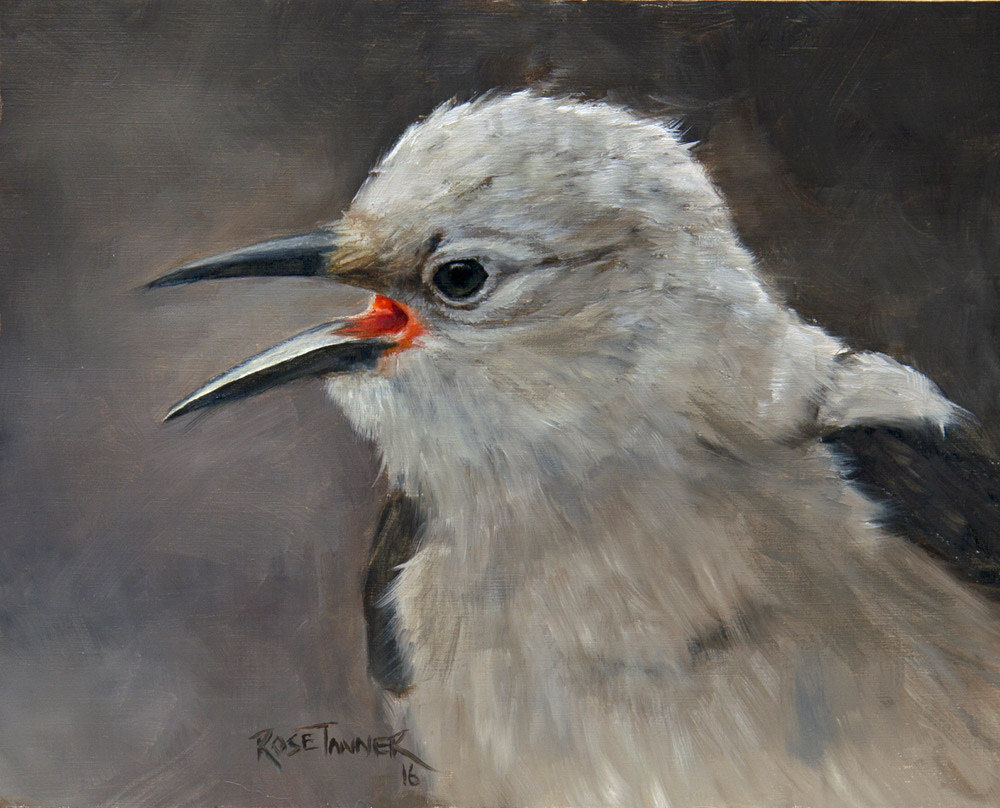 Angry Bird by Rose Tanner 