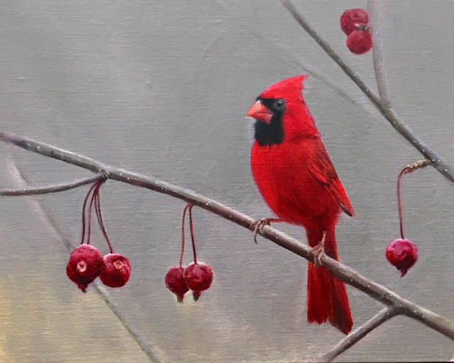 Northern Cardinal by Rose Tanner 
