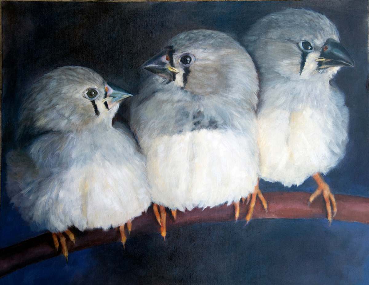 Just Fledged by Rose Tanner, Image 1.