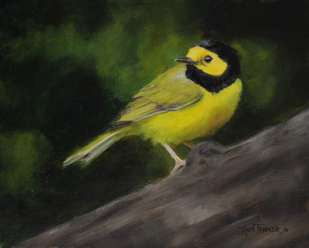 Resting Migration by Rose Tanner, Image 1.