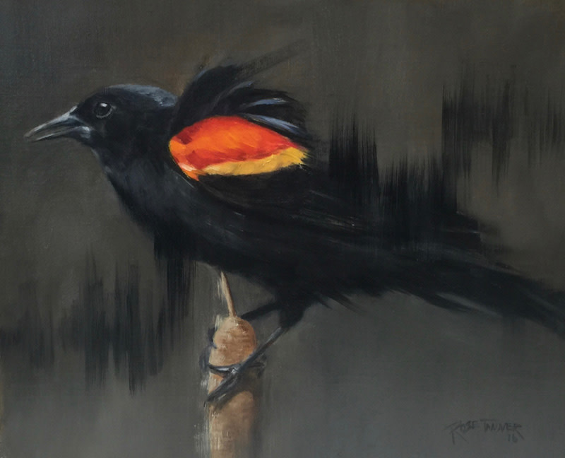 Redwing Blackbird with Sonogram by Rose Tanner 