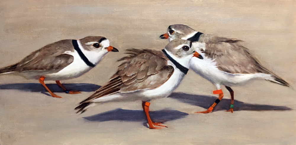 Territory Threat by Rose Tanner 