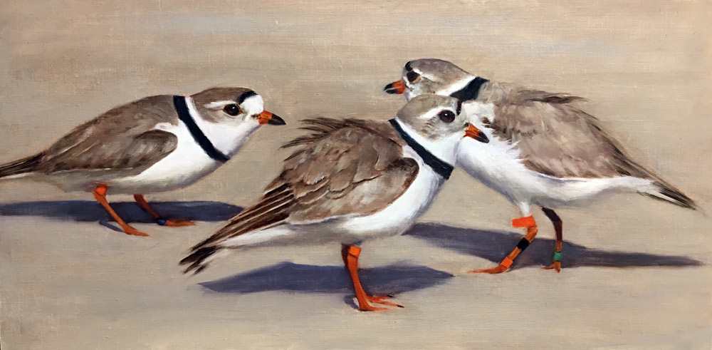 Territory Threat by Rose Tanner, Image 1.