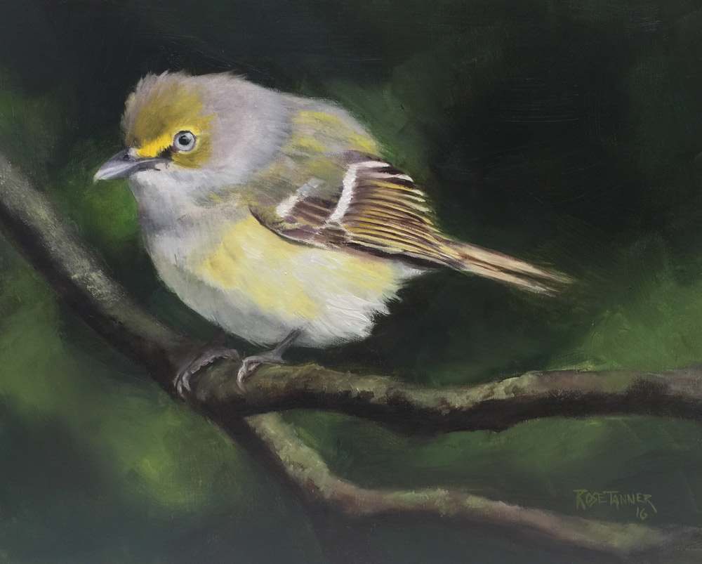 White Eye Vireo by Rose Tanner, Image 1.