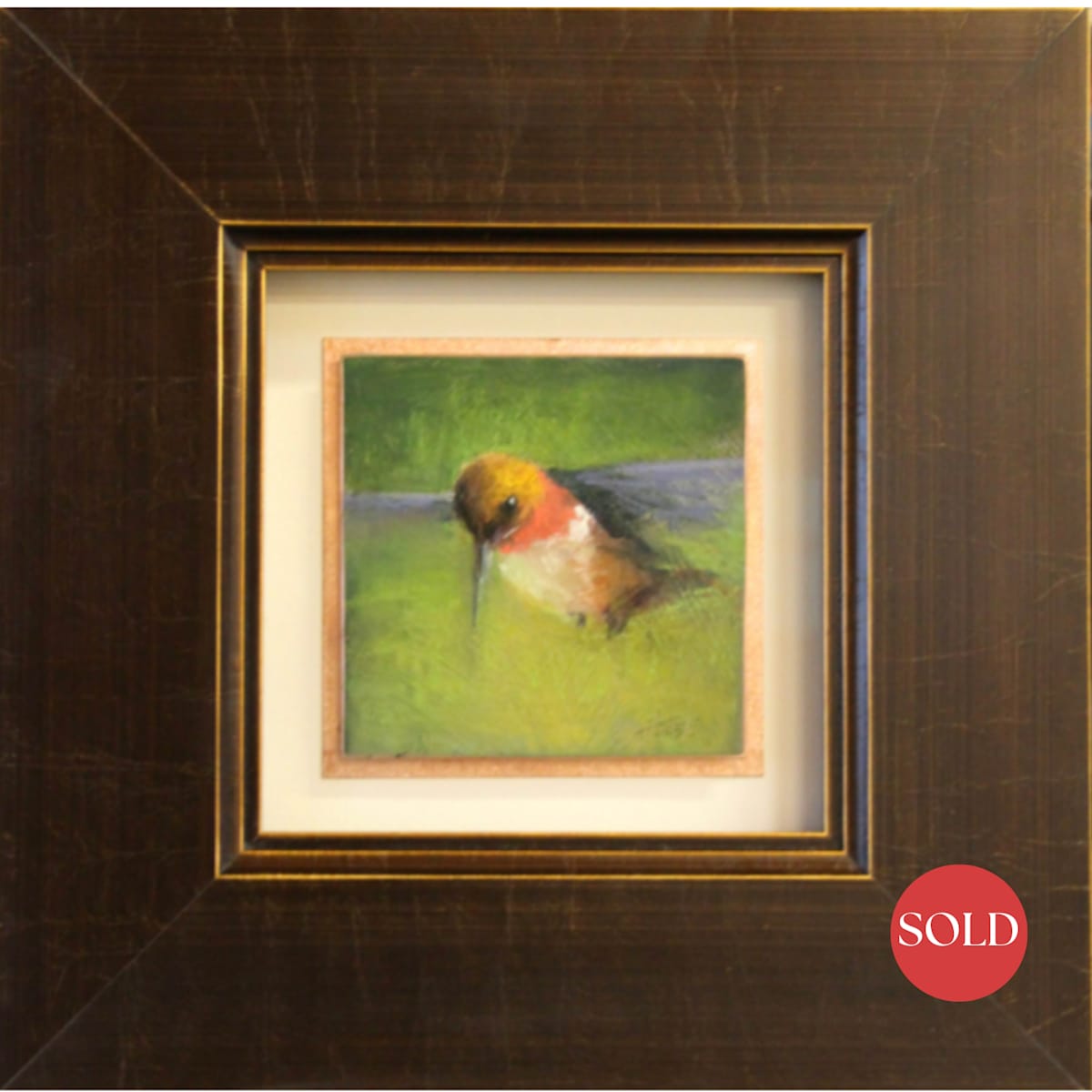 Rufous Feeding by AMANDA HOUSTON, Image 2.