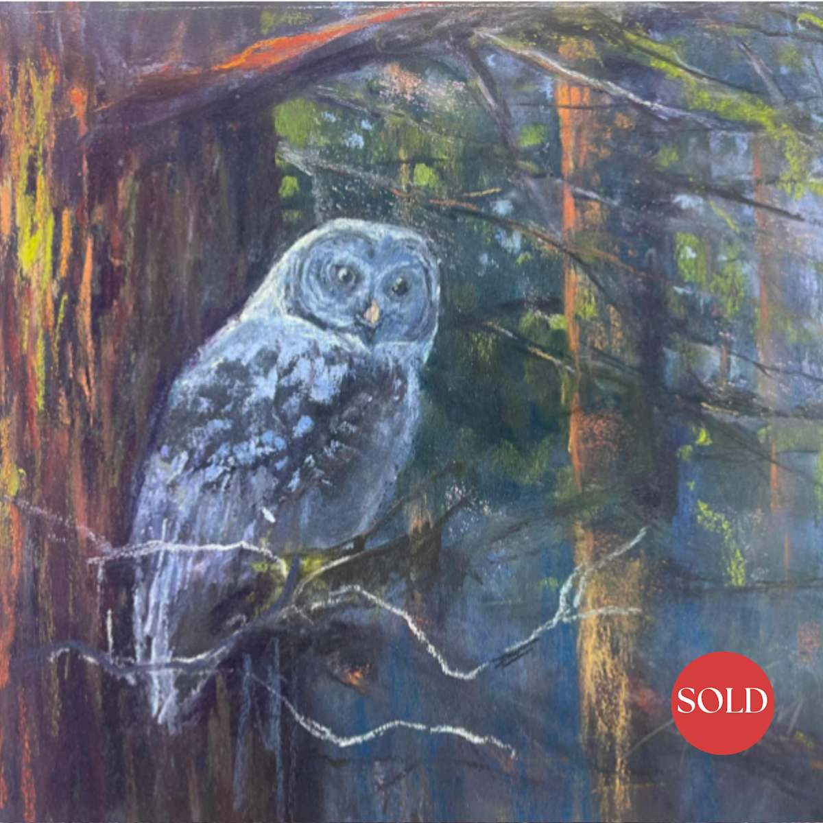 Grey Owl by AMANDA HOUSTON, Image 2.
