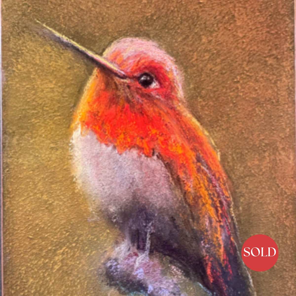 A grateful hummer by AMANDA HOUSTON, Image 2.