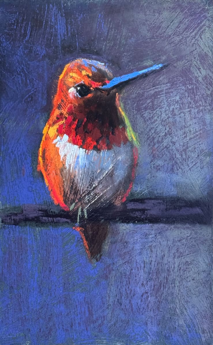Posing Hummingbird by AMANDA HOUSTON, Image 1.