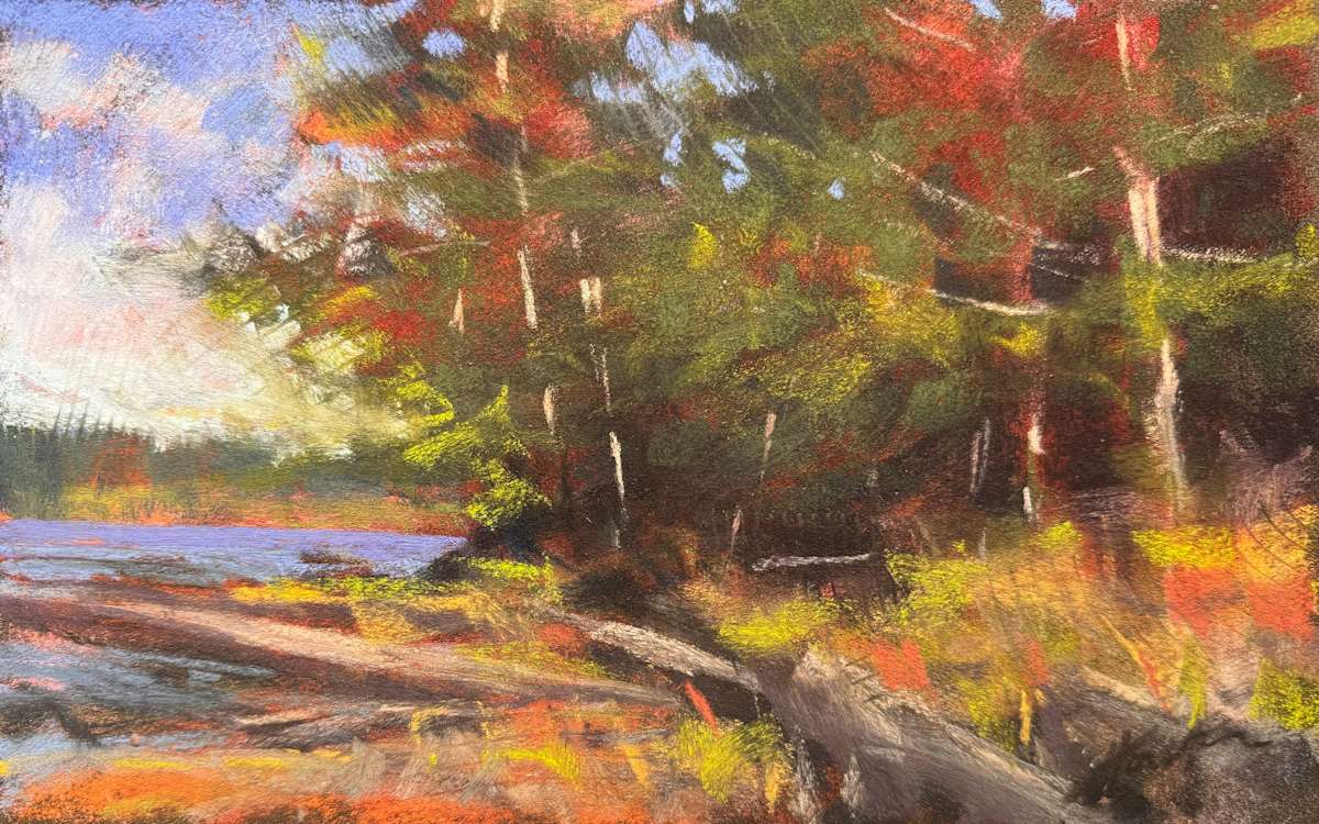 Tree Study by AMANDA HOUSTON, Image 1.