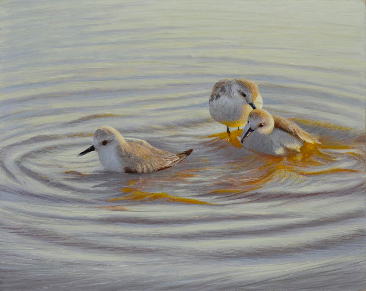 Bath Time by Daniel Ambrose 