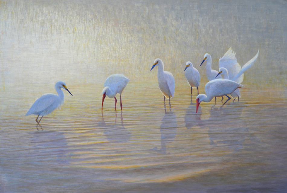 Seven For a Secret by Daniel Ambrose 