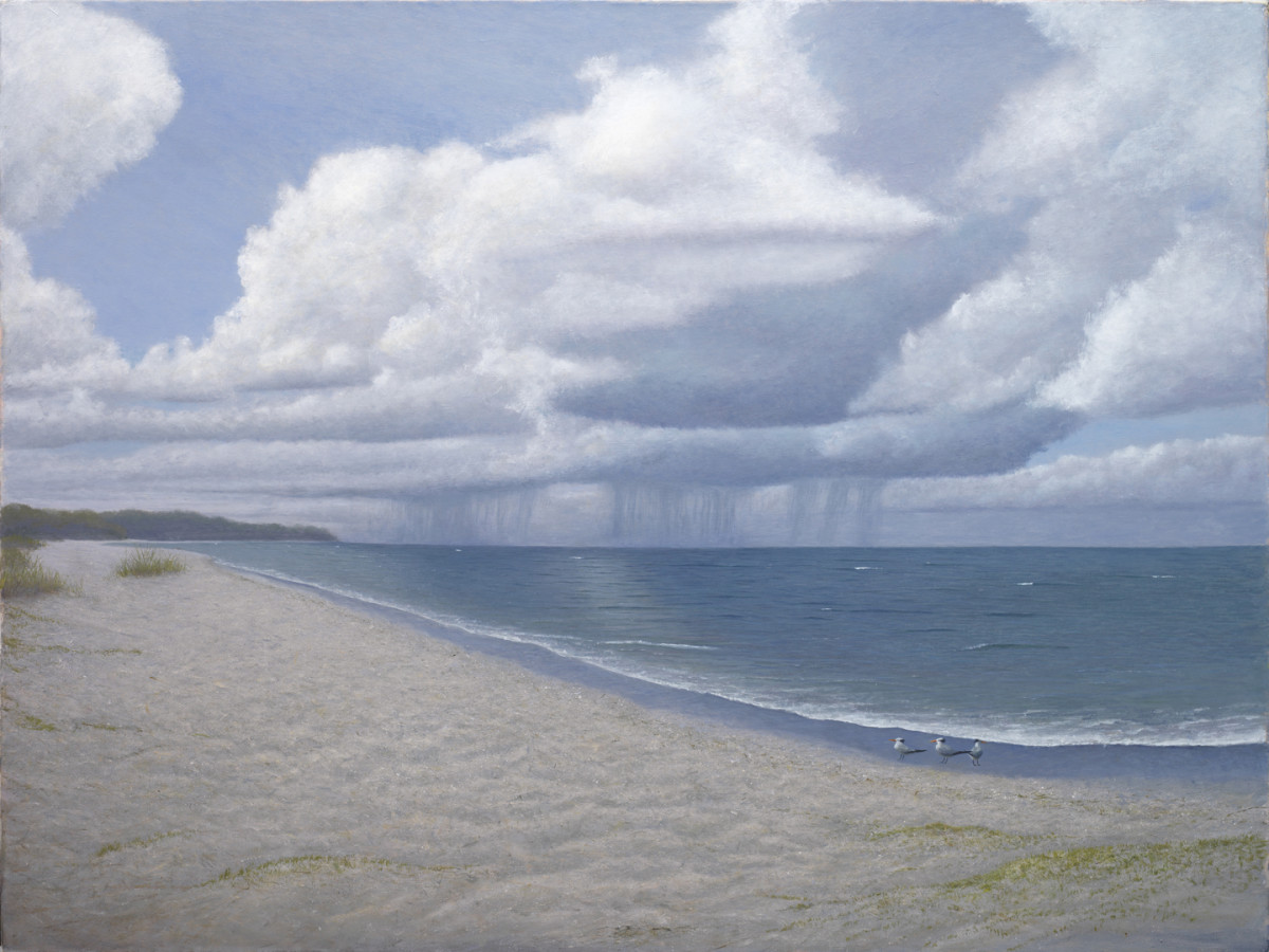 Summer Thunder by Daniel Ambrose, Image 1.