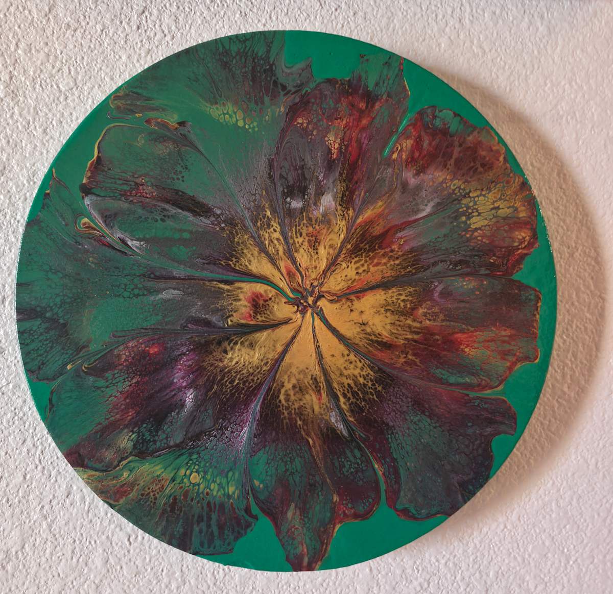 Solanox by Nicole Warnock 