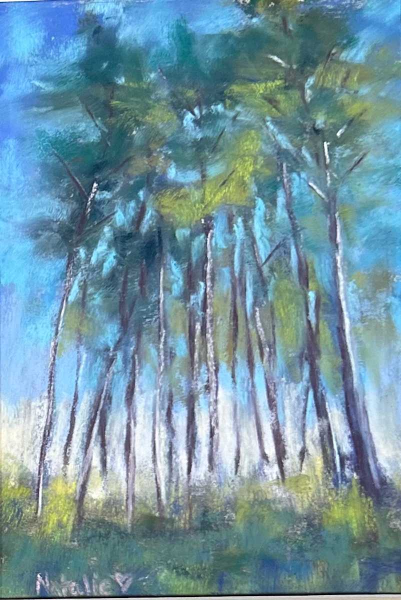 IMG_2257_mrmvfg_18 by Natalie Campbell 